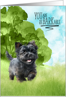 Congratulations reBARKable Affenpinscher Dog in the Country card