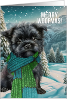 Volunteer Merry Woofmas Affenpinscher Dog in a Winter Scarf card