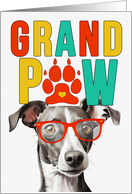 GrandPAW Greyhound...