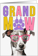 GrandMAW Greyhound...