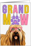 GrandMAW Briard Dog Grandparents Day from the Granddog card