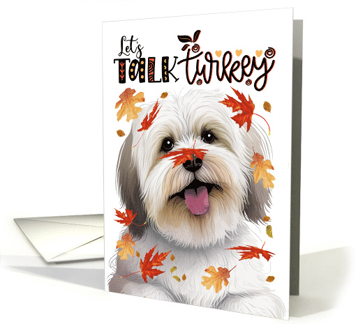 Thanksgiving Coton de Tulear Dog Funny Let's Talk Turkey Theme card
