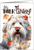 Thanksgiving English Sheepdog Funny Let’s Talk Turkey card