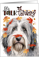 Thanksgiving Bearded Collie Dog Funny Let’s Talk Turkey card