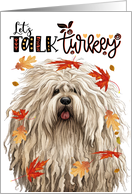Thanksgiving Hungarian Puli Dog Funny Let’s Talk Turkey card