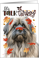 Thanksgiving Pyrenean Shepherd Funny Let’s Talk Turkey card