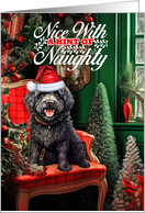 Barbet Christmas Dog Nice with a Hint of Naughty card