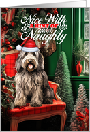 Bergamasco Shepherd Christmas Dog Nice with a Hint of Naughty card