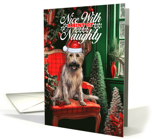 Berger Picard Christmas Dog Nice with a Hint of Naughty card (1790180)
