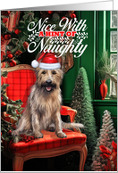 Berger Picard Christmas Dog Nice with a Hint of Naughty card