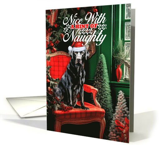 Black Labrador Retriever Christmas Dog Nice with a Hint... (1790966)