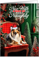 Collie Christmas Dog Nice with a Hint of Naughty card