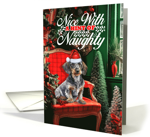 Wirehaired Dachshund Christmas Dog Nice with a Hint of Naughty card