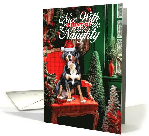 Entlebucher Mountain Dog Christmas Nice with a Hint of Naughty card