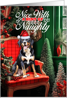 Entlebucher Mountain Dog Christmas Nice with a Hint of Naughty card