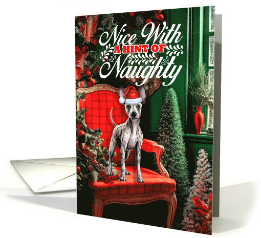 Hairless Terrier Christmas Dog Nice with a Hint of Naughty card