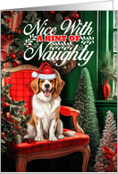 Kooikerhondje Christmas Dog Nice with a Hint of Naughty card