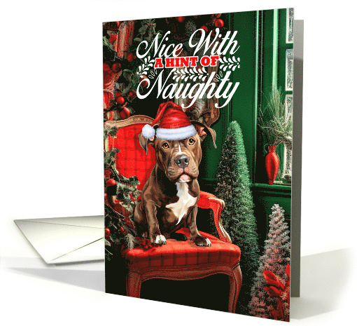 American Pit Bull Terrier Christmas Dog Nice with a Hint... (1792600)