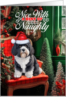 Portuguese Water Dog Christmas Dog Nice with a Hint of Naughty card