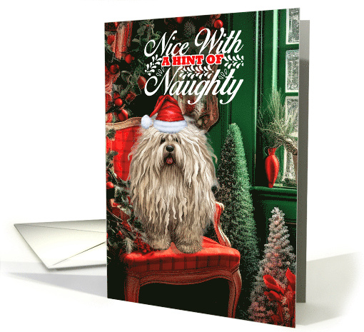 Puli Christmas Dog Nice with a Hint of Naughty card (1792676)