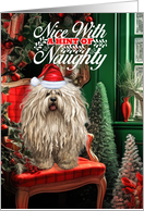 Puli Christmas Dog Nice with a Hint of Naughty card