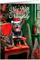 Rottweiler Christmas...