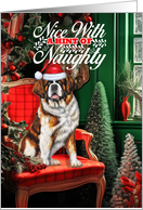 Saint Bernard Christmas Dog Nice with a Hint of Naughty card