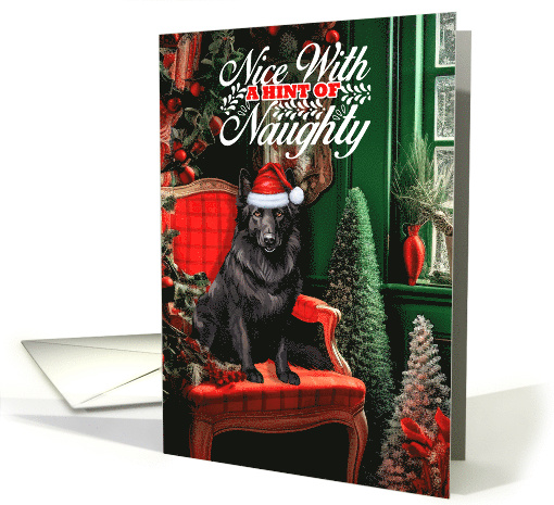 Belgian Sheepdog Christmas Dog Nice with a Hint of Naughty card
