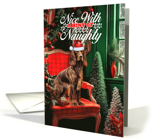 Field Spaniel Christmas Dog Nice with a Hint of Naughty card (1793328)