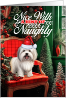 Coton de Tulear Christmas Dog Nice with a Hint of Naughty card