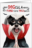 Coton de Tulear Dog Funny Halloween DOGcula card