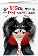 Japanese Chin Dog Funny Halloween DOGcula card