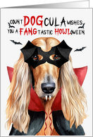 Afghan Hound Dog Funny Halloween Count DOGcula card