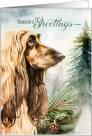 Afghan Hound Dog Season’s Greetings Woodland Forest card