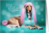 Afghan Hound Dog...