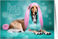 Pet Groomer Birthday Afghan Hound Pink and Turquoise Hair card