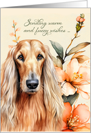 Get Well Afghan Hound Dog Peach Lilies card