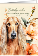 Birthday Afghan Hound Dog Peach Lilies card