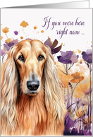 Miss You Afghan Hound Dog in a Purple Wildflower Meadow card