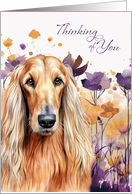 Thinking of You Afghan Hound Dog with Purple Wildflowers card