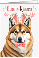 Easter Bunny Kisses Akita Dog in Bunny Ears card