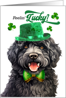 St Patrick’s Day Barbet Dog Feelin’ Lucky Clovers card