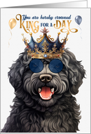 Birthday Barbet Dog...