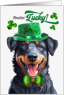 St Patrick’s Day Beauceron Dog Feelin’ Lucky Clovers card