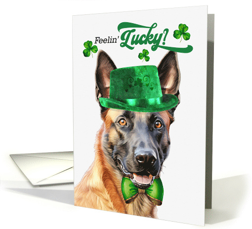 St Patrick's Day Belgian Malinois Dog Feelin' Lucky Clovers card