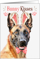 Easter Bunny Kisses Begian Malinois Dog in Bunny Ears card