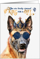 Birthday Belgian Malinois Dog Funny King for a Day card