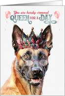 Birthday Belgian Malinois Dog Funny Queen for a Day card