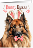 Easter Bunny Kisses Belgian Tervuren Dog in Bunny Ears card