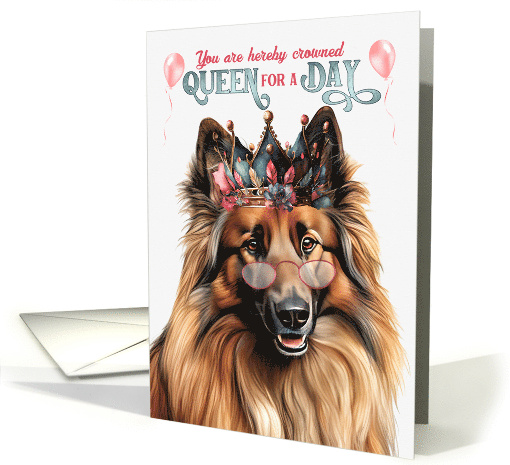 Birthday Belgian Tervuren Dog Funny Queen for a Day card (1800624)